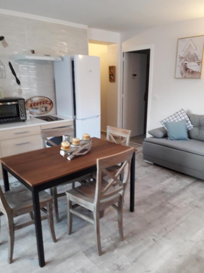 Enclos Savoyard Appartement Meuble 1Chambre 1 Canape Lits 3Personnes Grand-Aigueblanche Exterior photo